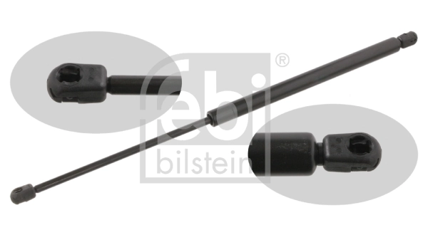 Gas Spring, boot/cargo area